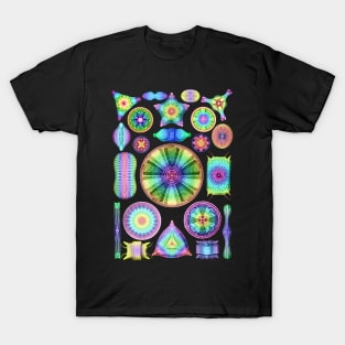 Ernst Haeckel Rainbow Diatoms T-Shirt